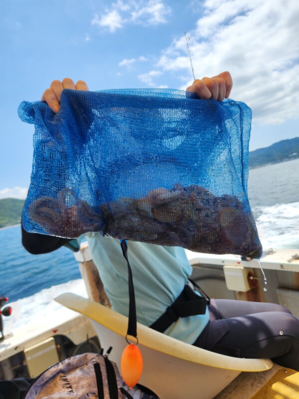釣果写真