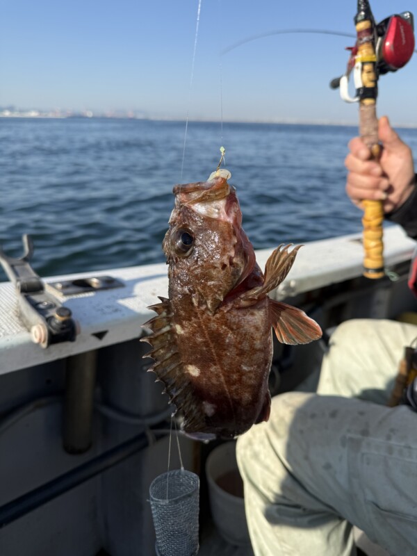 釣果写真