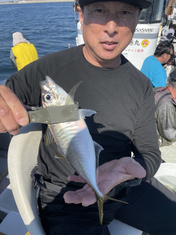 釣果写真