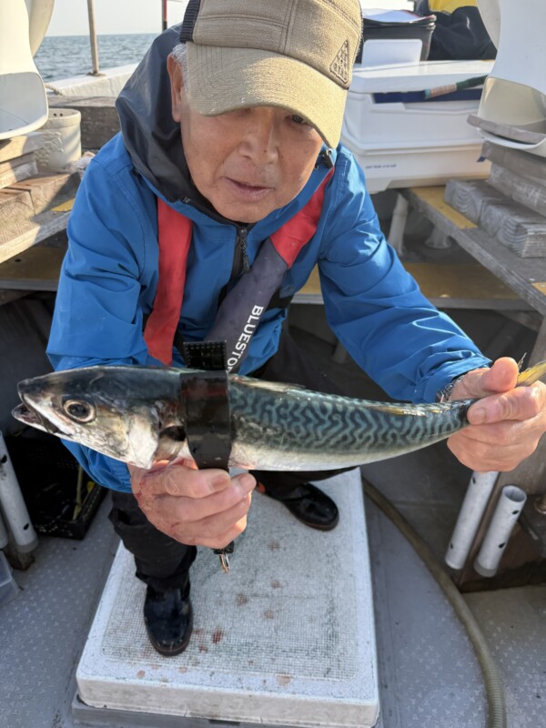 釣果写真