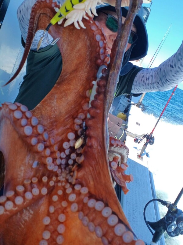 釣果写真
