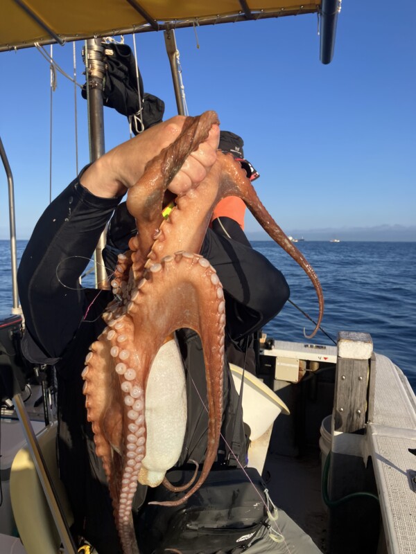 釣果写真
