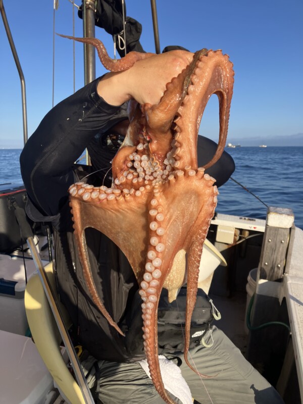 釣果写真