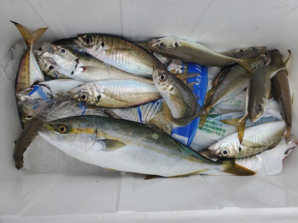 釣果写真