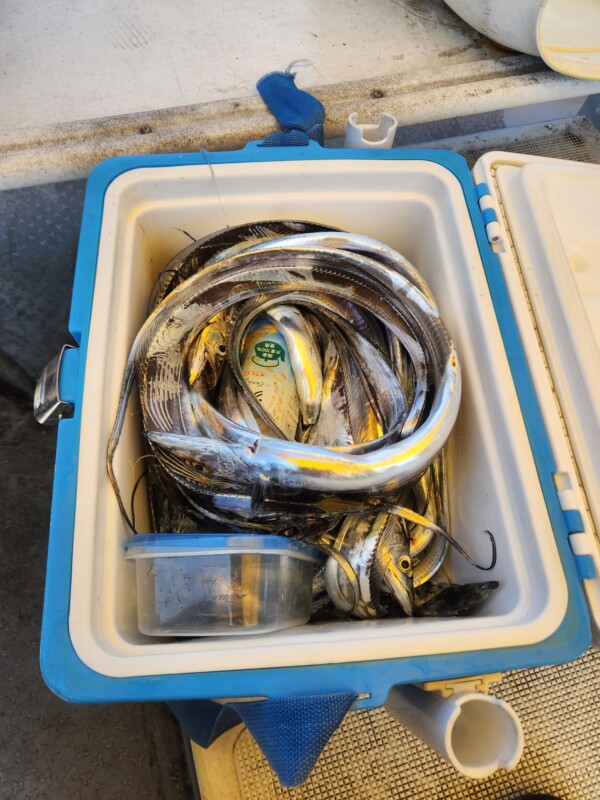 釣果写真