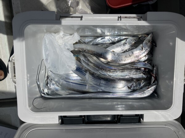 釣果写真