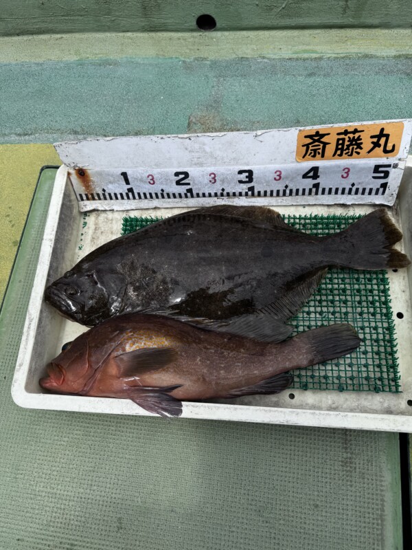 釣果写真