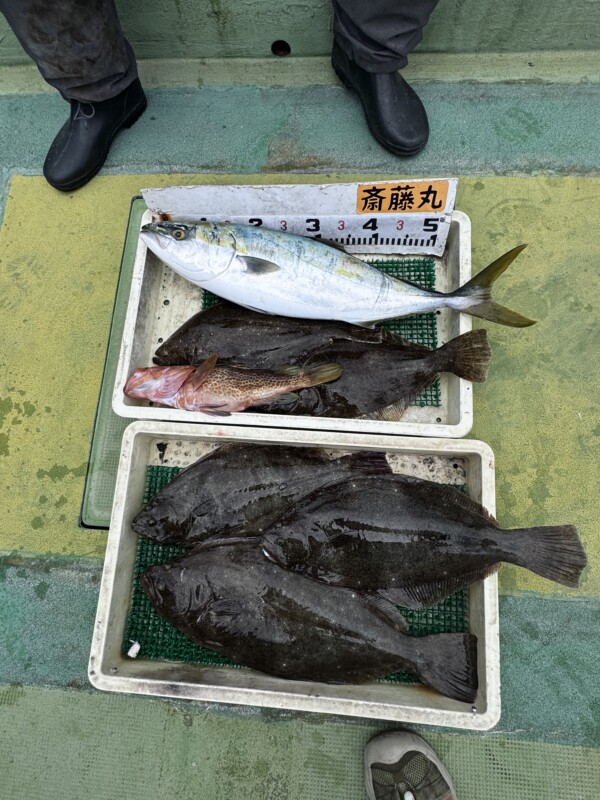 釣果写真