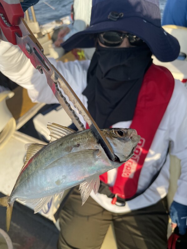 釣果写真