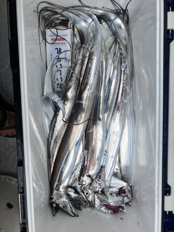 釣果写真
