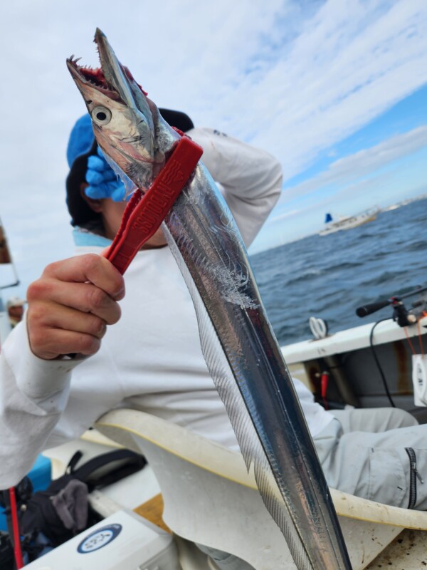 釣果写真