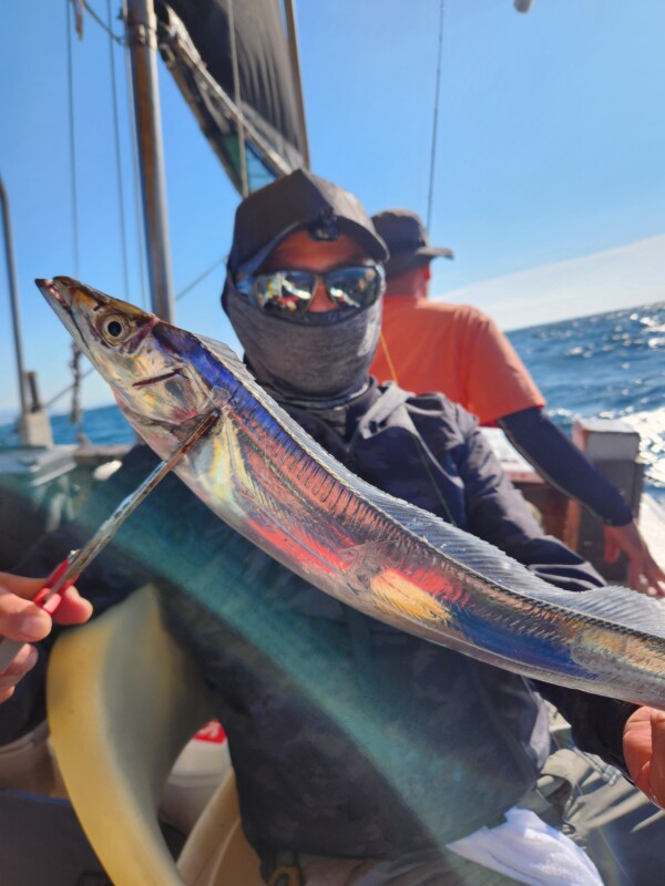 釣果写真