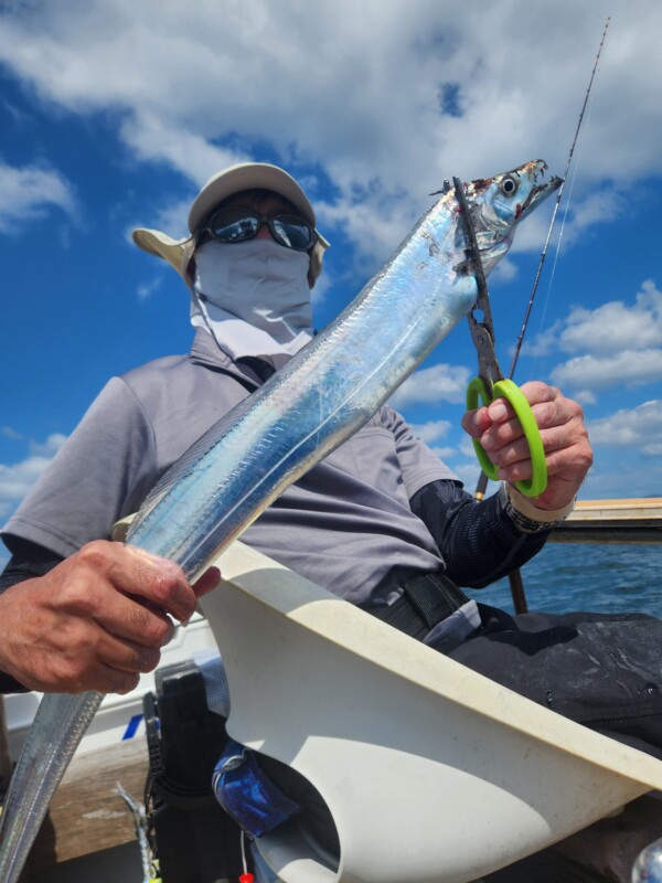 釣果写真