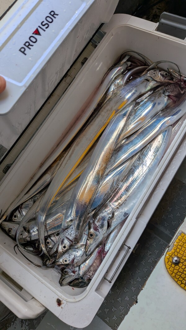 釣果写真