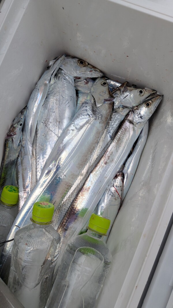 釣果写真