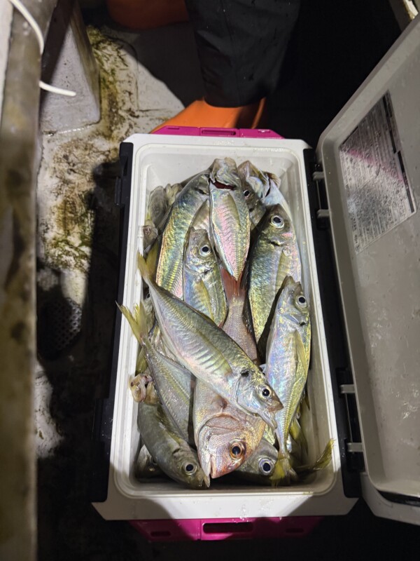 釣果写真