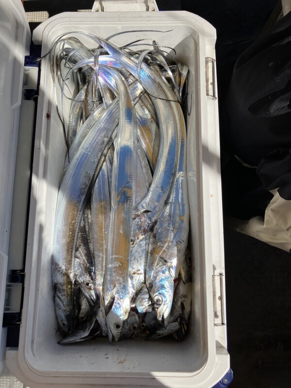 釣果写真